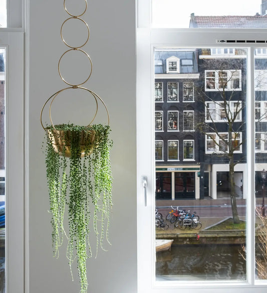 Golden Circle Hanging Planter